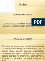 Análises Da Urina