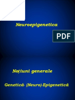 Neuro Epigenetic A
