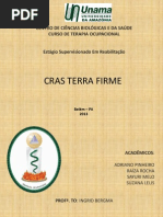 Apresentação CRAS - Raiza, Sayuri e Suzana.