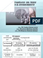 Cambios metabólicos SN envejecimiento