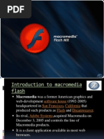 Presentation of Macromedia Flash