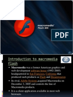 Presentation of Macromedia Flash