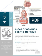 CAPAS ÓRGANOS HUECOS.pdf