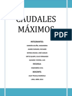 INFORME CAUDALES MAXIMOS