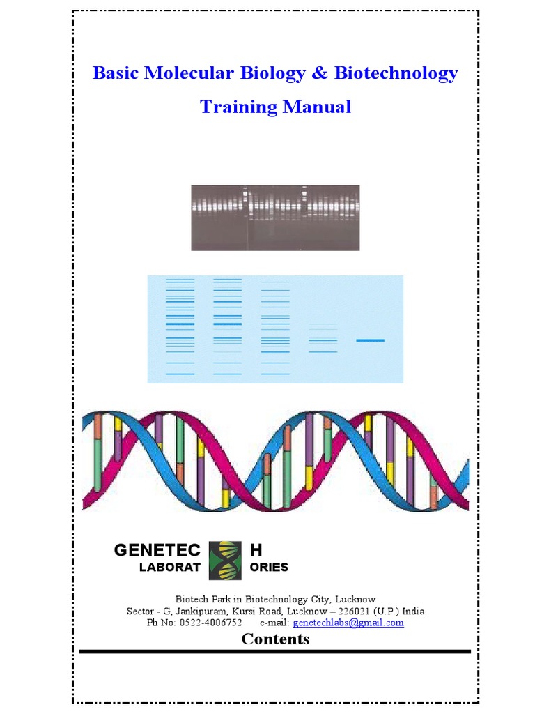 Basic Molecular Biology & Biotechnology Training Manual | PDF | Gel ...
