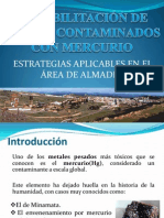 Estrategias de fitorremediación aplicables en suelos contaminados con mercurio en Almadén