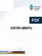 Auditor a Ambient Al