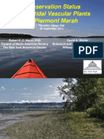 Conservation Status of Intertidal Vascular Plants of Piermont Marsh, Rob Naczi (New York Botanical Garden) and David Werier (Botanical and Ecological Consultant)