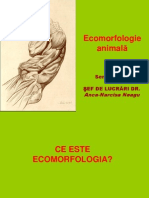 Curs 1 Ecomorfologie Animala Teorii