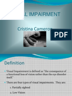 Visual Impairment2