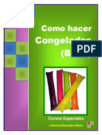 CursoBolis PDF