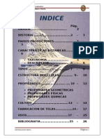 Monografía Del Cáñamo PDF