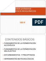 0 PRESNTACION MODULO PROFESIONAL.ppt