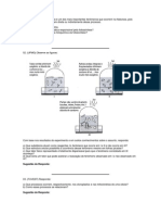 Exercicios de Fotossintese