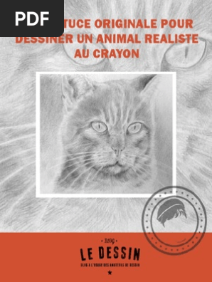 Dessiner Animal Réalistepdf Dessin Chats