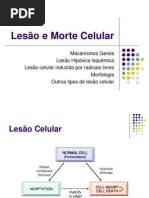 Lesão e Morte Celular