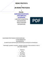 Quinta aula de parasitologia.ppt