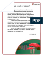 Qué Son Los Hongos PDF