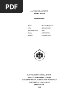 Download Laporan Praktikum Modulus Young by Rosaria Puspasari SN241646290 doc pdf