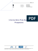 Informe SMIC ProbExpert PDF