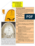 LP1 SEM2 BURCIN