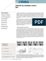 Ahissar Et Al 2006 Rat Whiskers Active Sensing