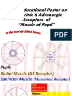 Pharma of Pupil Muscles