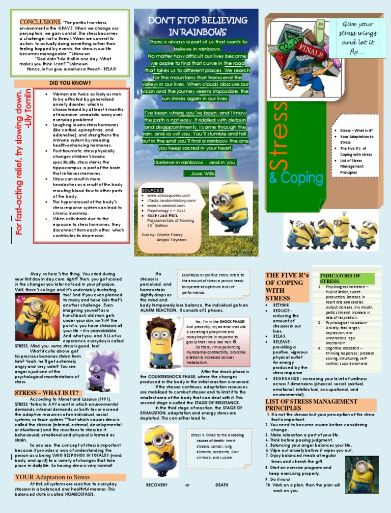 Understanding and Managing Stress | PDF | Stress (Biology) | Psychology