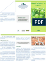 Embrapa Figueira Organica PDF