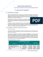 Cap_12-_SBX_Costo_Beneficio.pdf