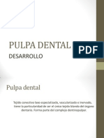 Desarrollo de la pulpa dental y sus componentes
