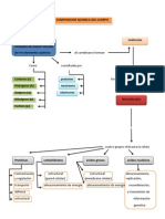 COMPOSICION QUIMICA DEL CUERPO Zacil