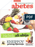 Dijabetes VL PDF