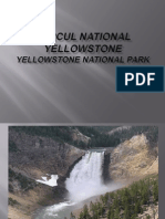 parcul National Yellowstone Ebe1f