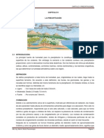CAPITULO II PRECIPITACION.pdf