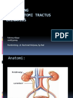 RADIOANATOMI UROGENITAL Fix