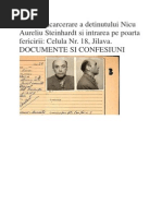 Fișa de Încarcerare a Deținutului Nicolae Steinhardt