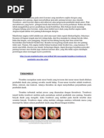 Download Trombosis arteri by Muji Asriani SN241692751 doc pdf