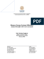 Biomass Energy Systems Efficiency-Analyzed Through a Life Cycle Assessment