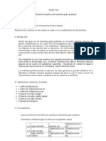 9 - Identificacion Bioquimica - Bacterias Gram Positivas