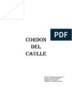 Trabajo Cordon Del Caulle PDF