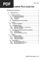 Capela_Capela_Acidos nucleicos pdf.pdf