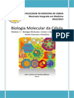 Sebenta de Biologia Molecular Da Celula Joao Milhano PDF