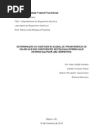 126924333-Relatorio-Troca-de-Calor-em-uma-serpentina.pdf
