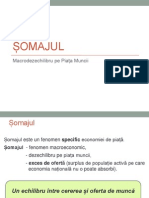 11 Somajul PDF