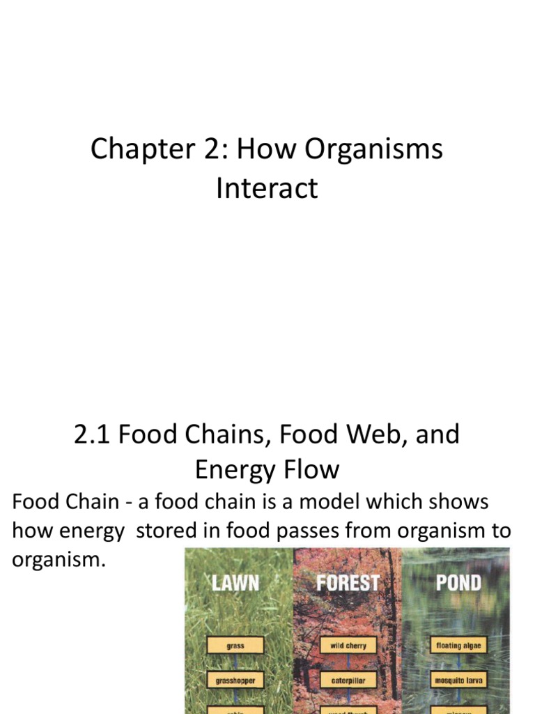 Science Chapter 2 | PDF | Home & Garden
