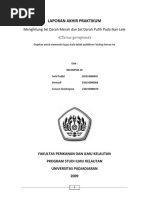 Download Menghitung Sel Darah Merah dan Sel Darah Putih Pada Ikan Lele by Darmadi SN24174751 doc pdf