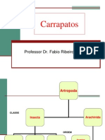 Carrapatos.pdf