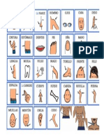 body parts.pdf