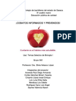 PROYECTO ALIMENTACION.docx